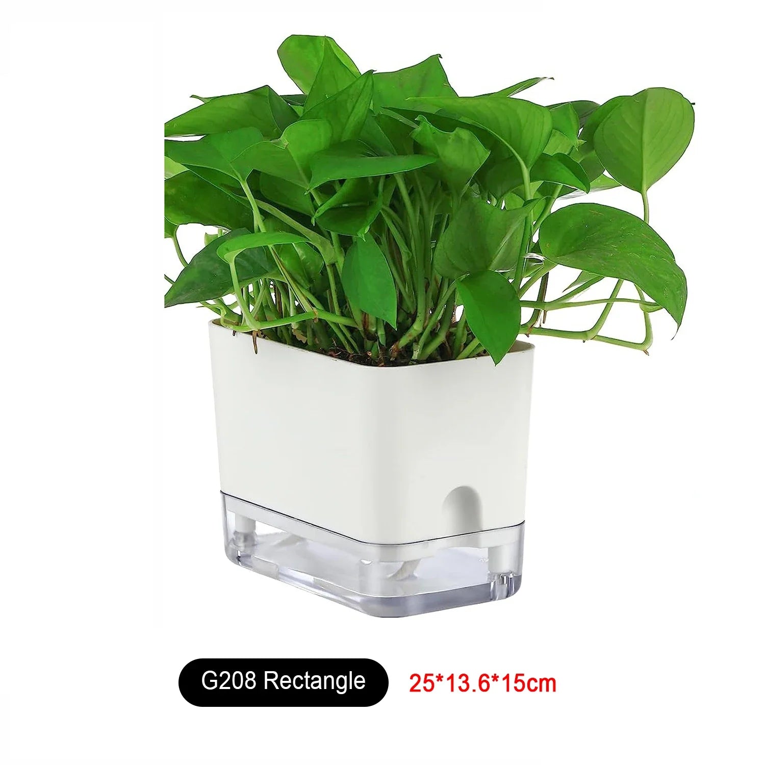 HydroLino Blumentopf | Selbstbewässerung | Kompakt & Transparent | Für Innenräume