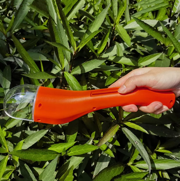 BugWhisper – Fange Insekten sanft & sicher!