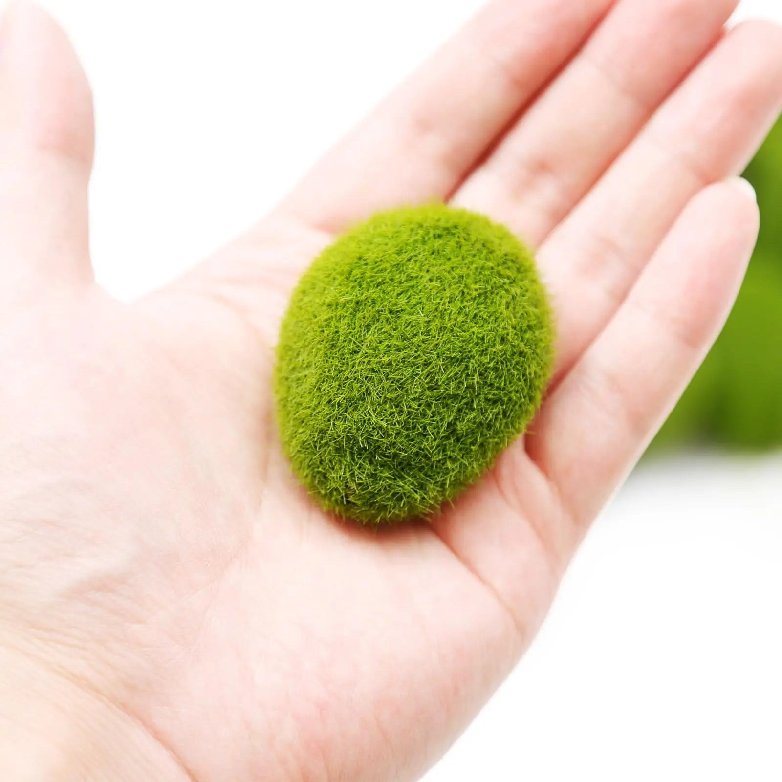 MossAura Floravio | Deko-Moossteine | Pflegeleicht & Vielseitig | Für kreative Projekte