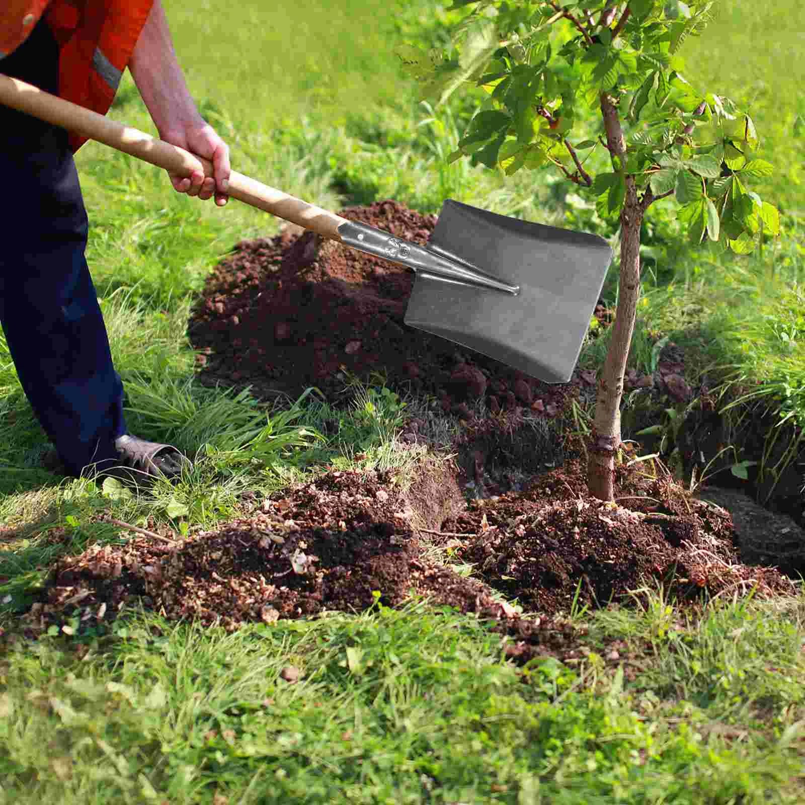TerraGrip Gartenspaten | Extra Robust & Handlich | Für Wurzeln & Rasenkanten | Carbonstahl Rostfrei