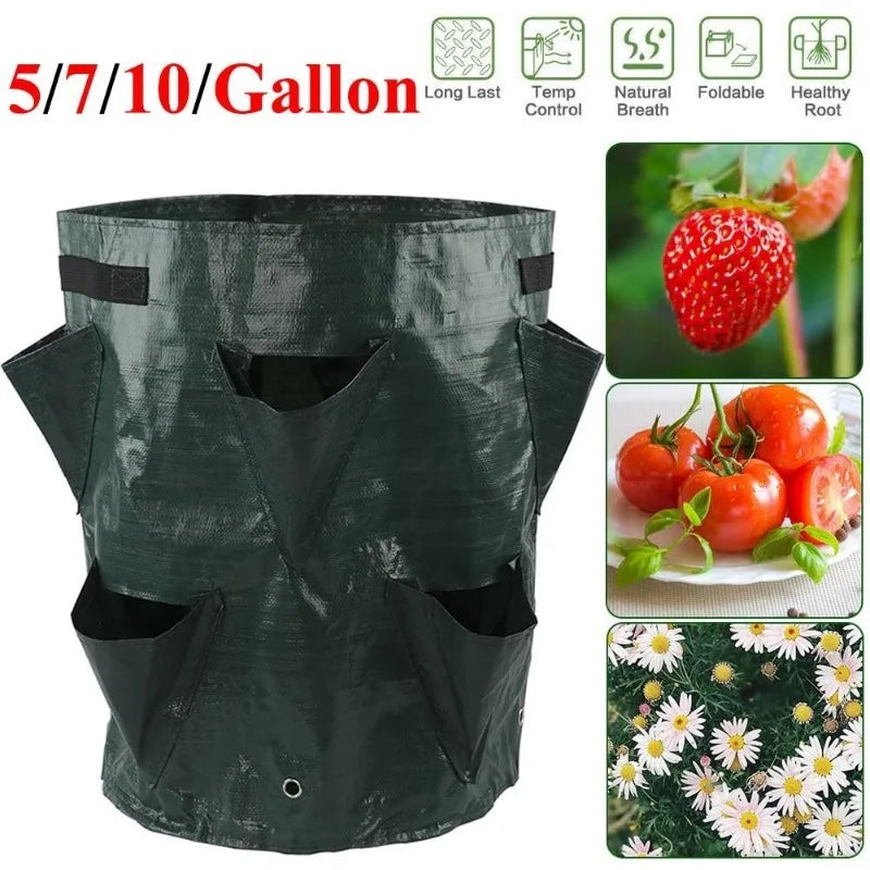 GrowMax | Pflanzsack für Balkon & Garten | Mehrfachöffnungen | Wetterfest & Langlebig