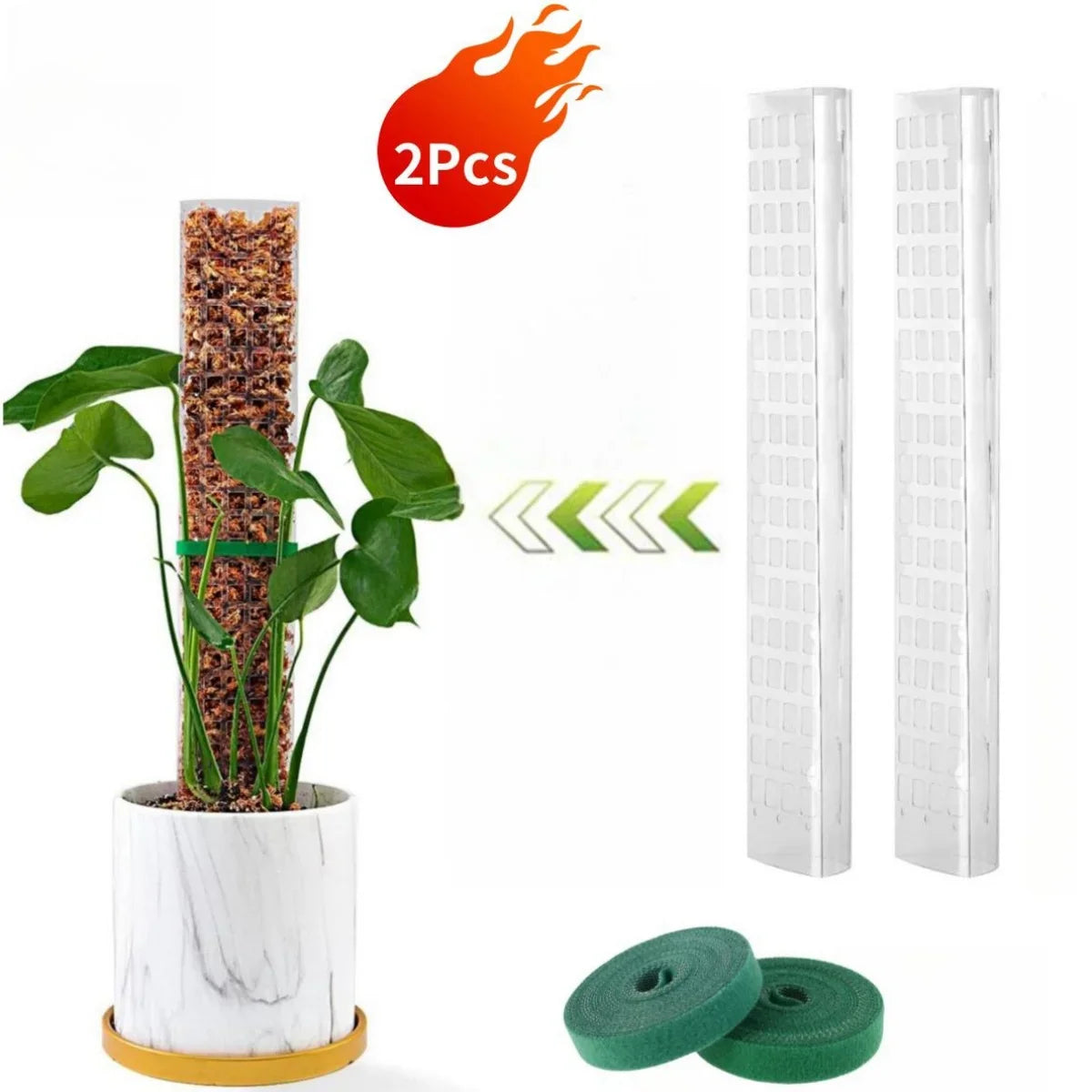 Vertilo Moosstab Set | Transparent & Wiederverwendbar | Für Monstera & Co. | 30–60 cm