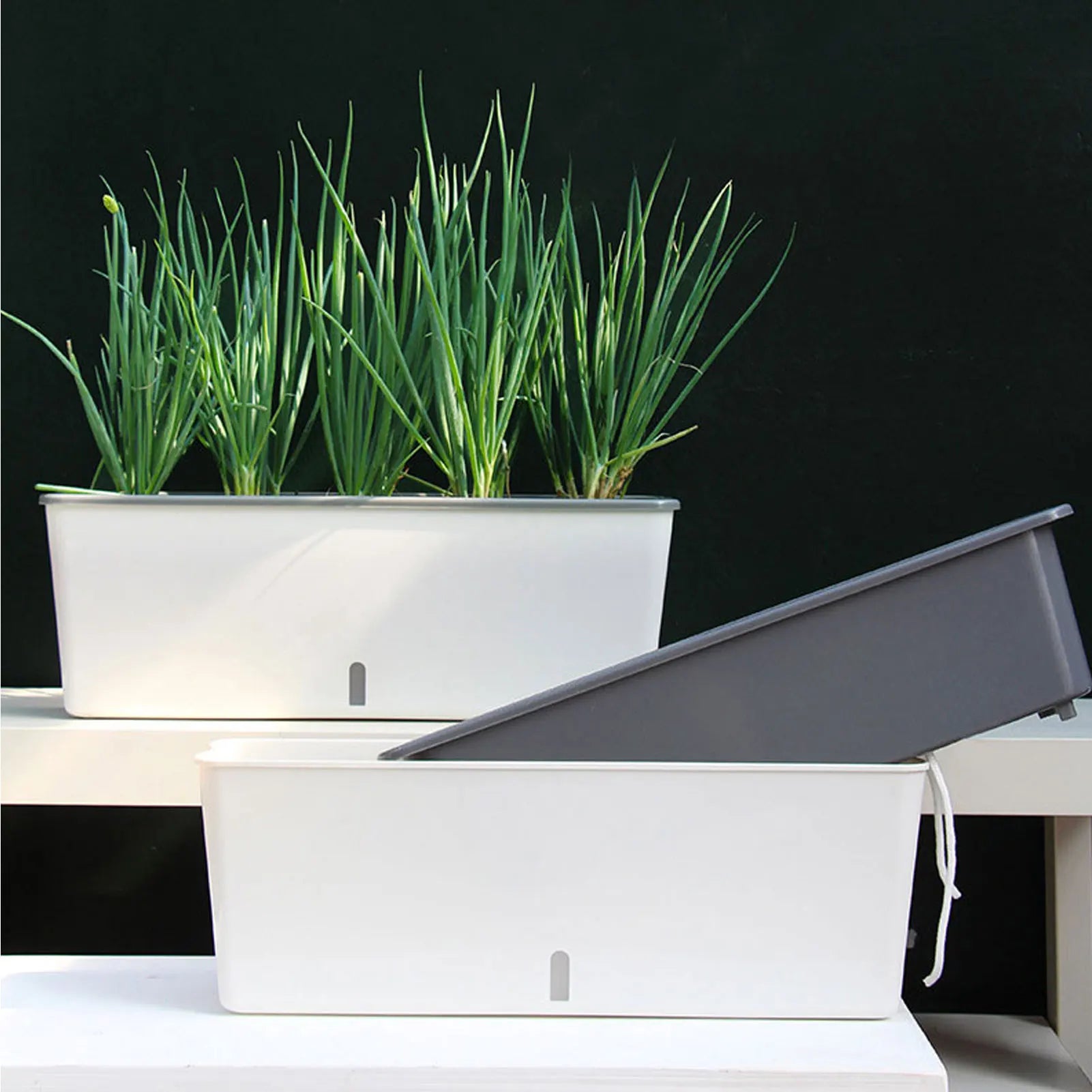 PlantCare Pro | Selbstbewässernder Pflanztopf | Mit Wasserstandsanzeige | Für Zimmerpflanzen