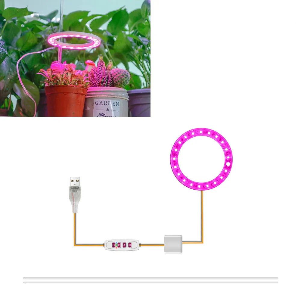 Plantuno Ring Pflanzenlampe | LED Grow Light mit Timer | USB | Dimmbar & 3 Lichtfarben | 1–4 Köpfe