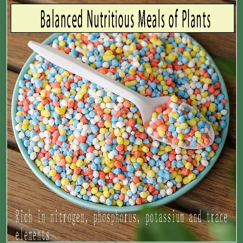 PlantBoost Long-Term Fertilizer | Optimal NPK Formula | For Healthy Plant Growth & Vibrant Blooms