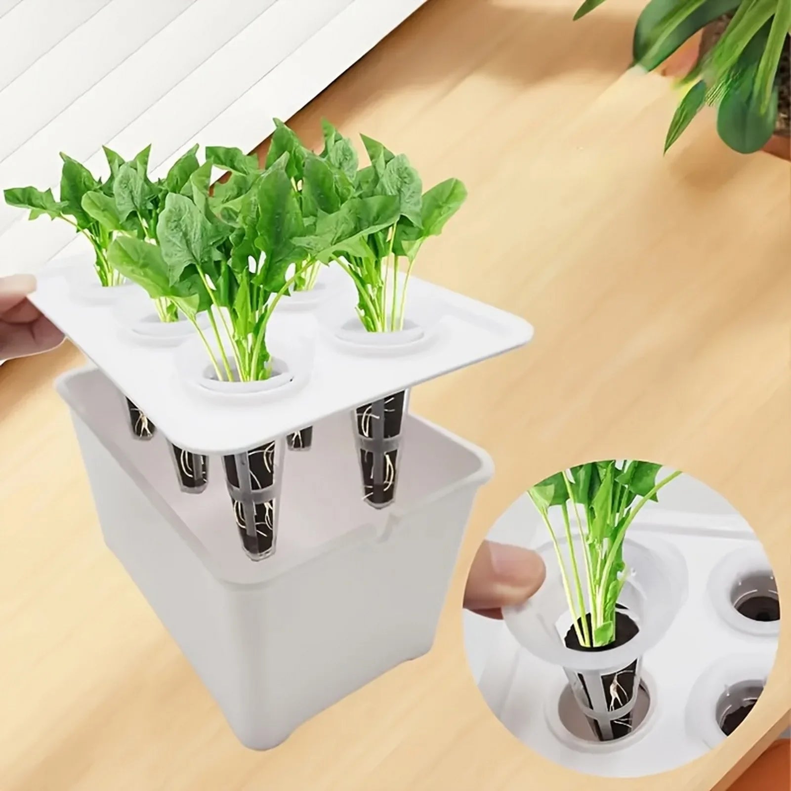 Hydroverde Indoor-Grow-Set | Hydroponisches Anzuchtsystem | Selbstbewässernd | Für Kräuter & Stecklinge