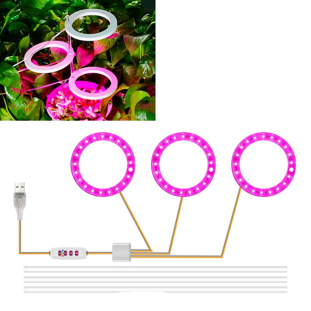 Plantuno Ring Pflanzenlampe | LED Grow Light mit Timer | USB | Dimmbar & 3 Lichtfarben | 1–4 Köpfe