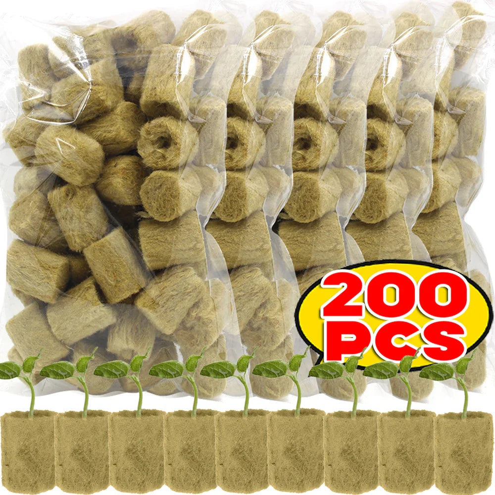 Rootify GrowPlugs | Steinwolle Anzuchtwürfel | Optimale Wurzelentwicklung | Saubere Hydrokultur