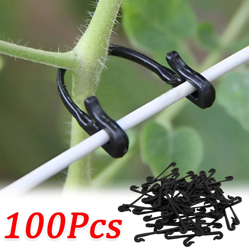 ClipVine Pro | Pflanzenhalter | UV-beständig & Wiederverwendbar | Für Garten & Gewächshaus