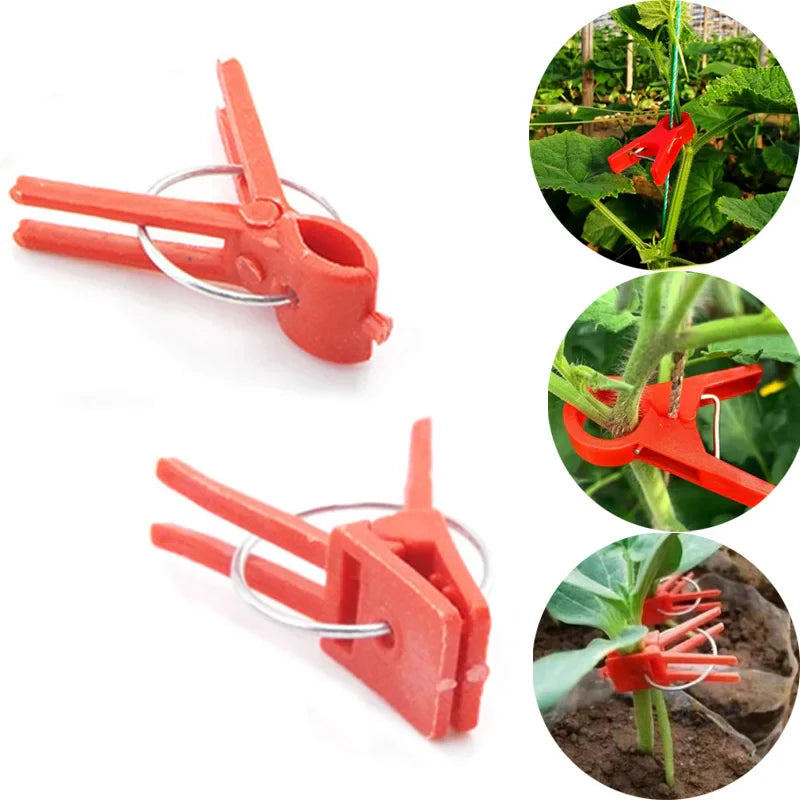 PlanturaClip Pflanzenclips | Stabilisieren & Fixieren | Sanft zur Pflanze | Vielseitig Einsetzbar