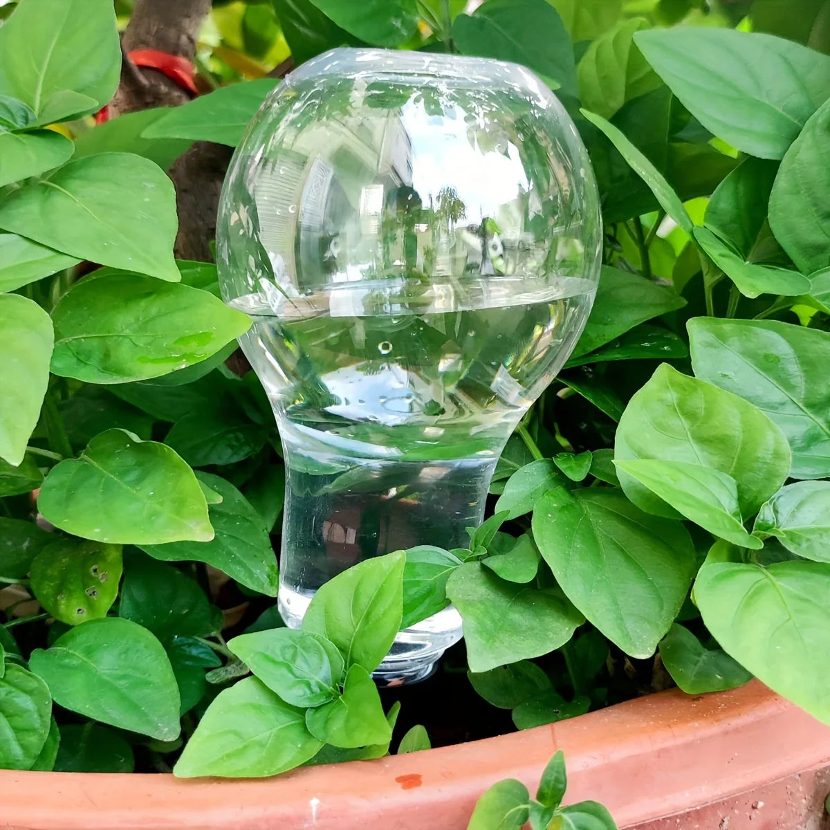 HydroBloom AquaDrop | Pflanzbewässerung | Automatisch & Transparent | Für Balkon & Zimmerpflanzen