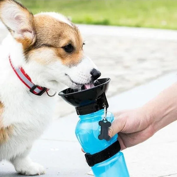 AquaBuddy 2-in-1 Haustierflasche | Integrierter Napf | Auslaufsicher & Leicht | Tragbar | Für Hunde & Katzen