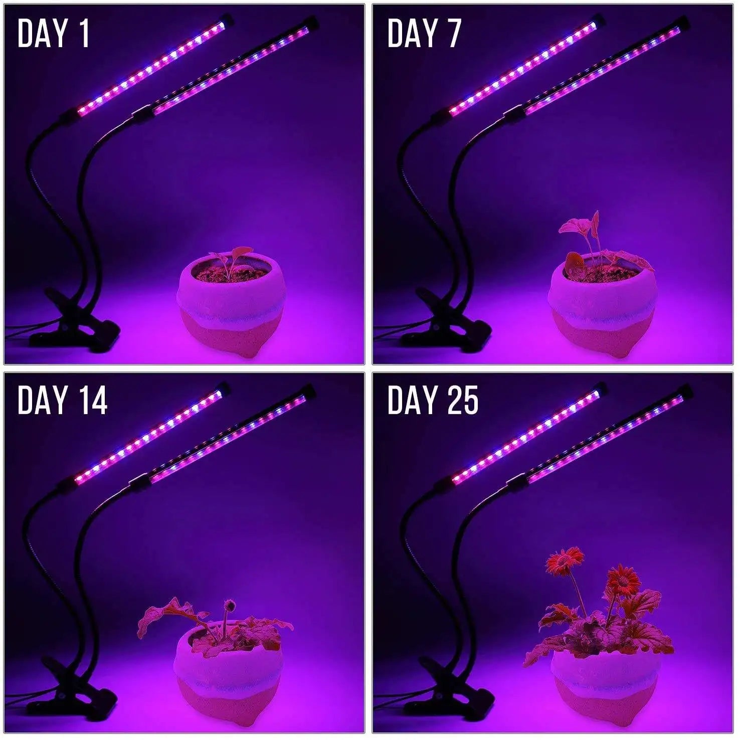 LumiPlant LED Pflanzenlampe | USB Grow Light | 1–4 Köpfe | Dimmbar mit Timer