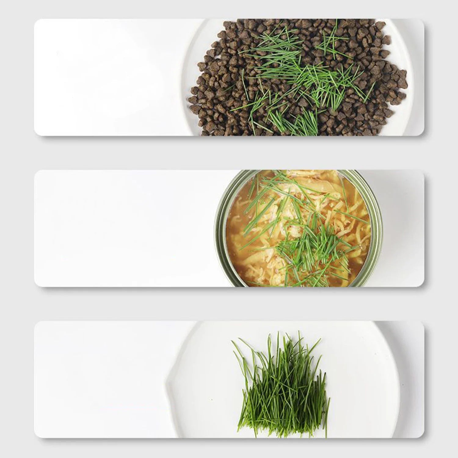 Sprouti Katzengras Becher | Ohne Erde | BPA-frei & Wiederverwendbar | Für Sprossen & Weizengras