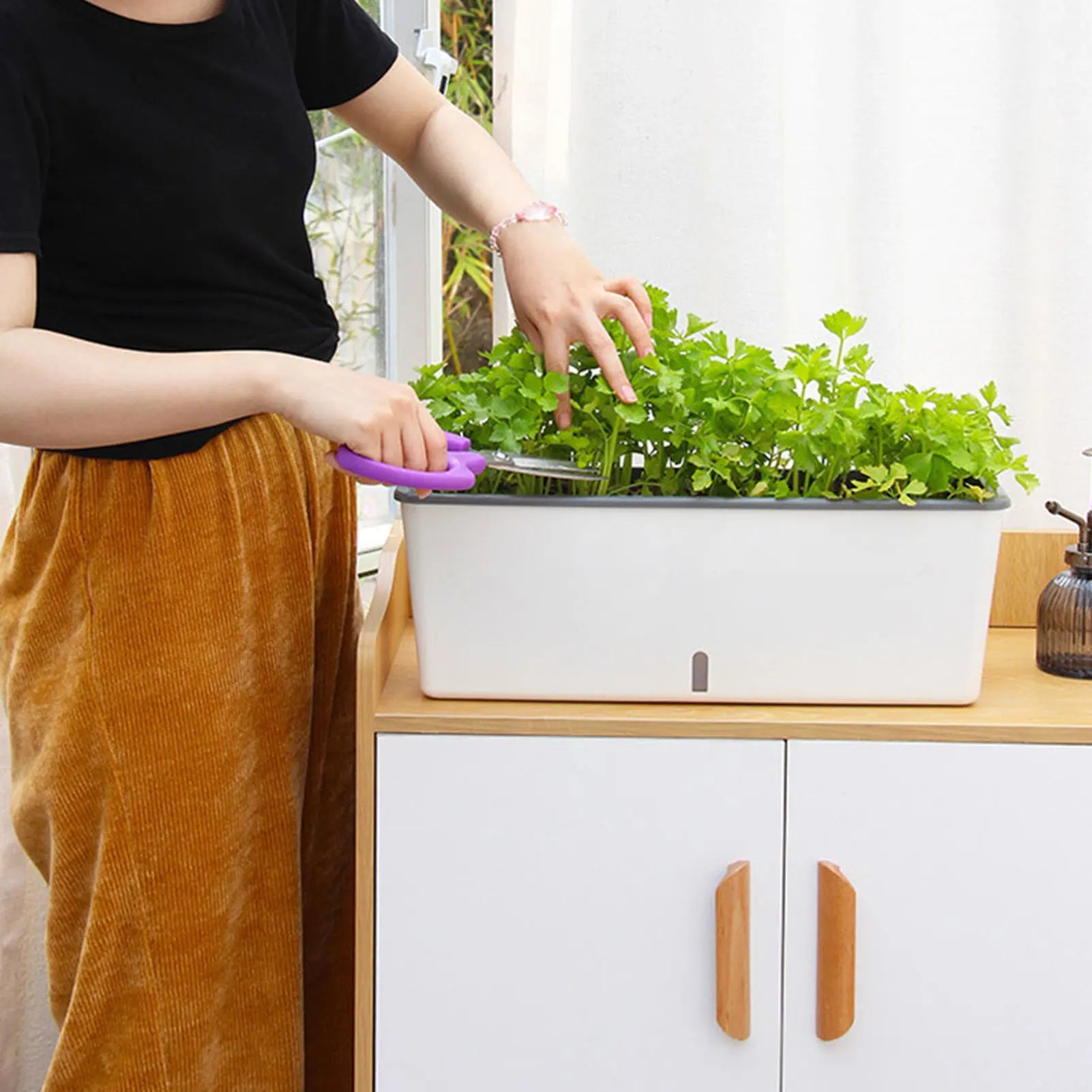 PlantCare Pro | Selbstbewässernder Pflanztopf | Mit Wasserstandsanzeige | Für Zimmerpflanzen