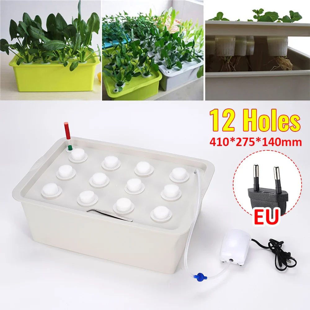HydroGreen 12 | Hydroponisches Pflanzsystem | Effizient & Kompakt | Robuster Kunststoff