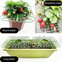 AgriFlex GrowSupport | Pflanzenstützen | 45° Winkel Design | Wetterbeständig