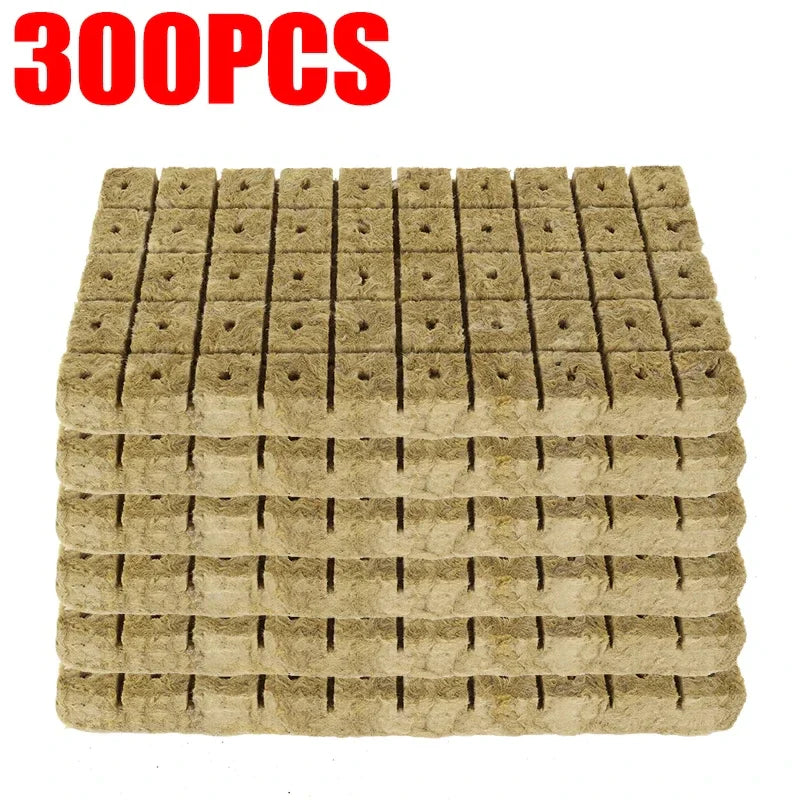 GreenCube | Anzuchtwürfel für Hydroponik | Optimal für Pflanzenwachstum | 50 bis 500 Stück