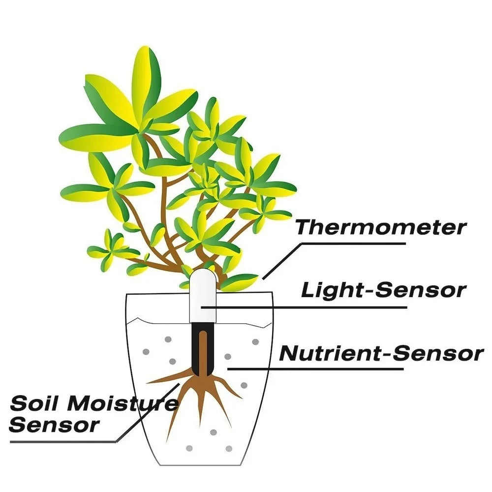 GrowSense – Dein smarter Gartenhelfer!