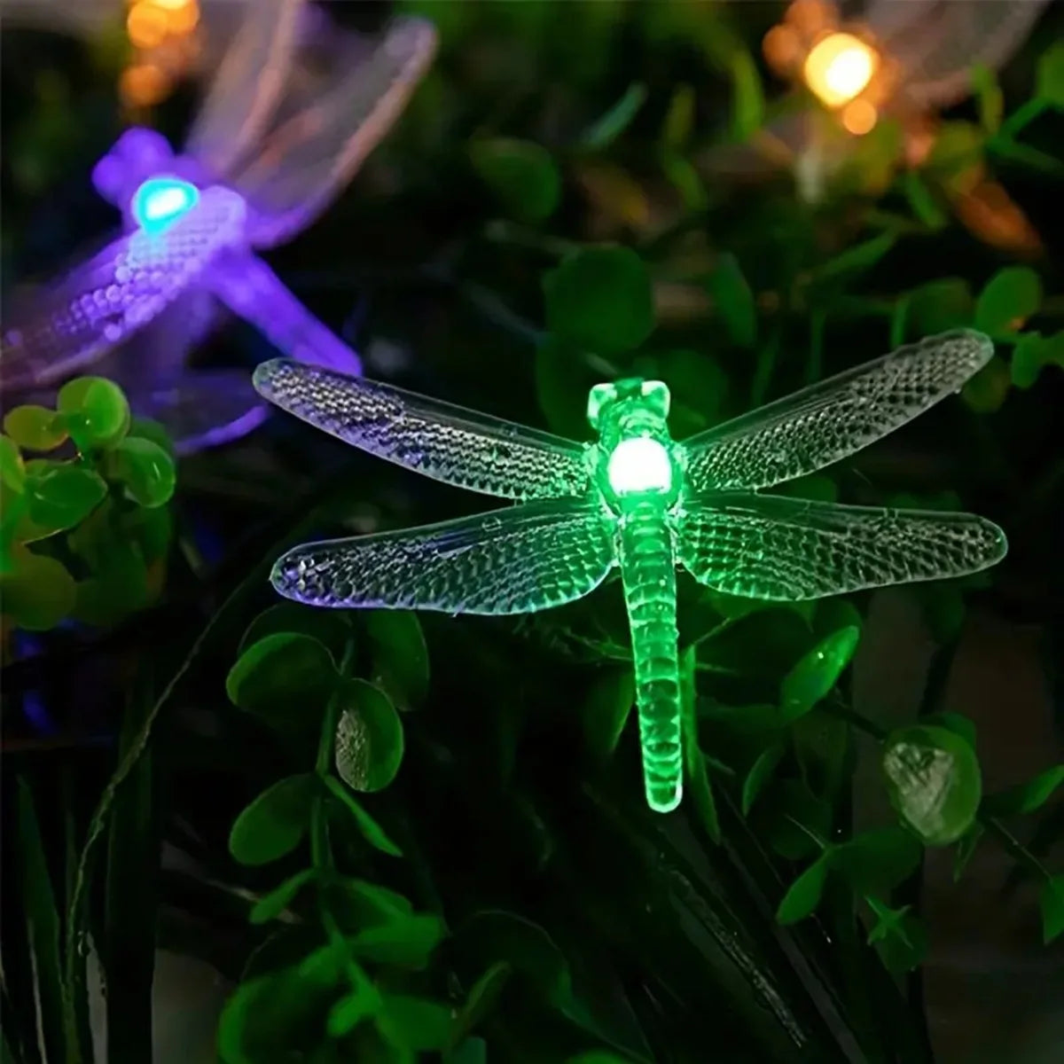 Solithia Libellenlichterkette | Solar | 8 Modi | IP65 Wetterfest | 5m 20 LEDs