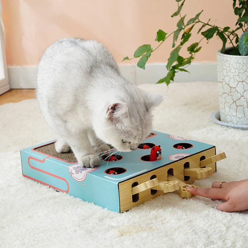 Pawcasso PlayMint | Interaktives Katzenspielzeug & Kratzbrett | Natürlich & Langlebig | Ohne Batterien