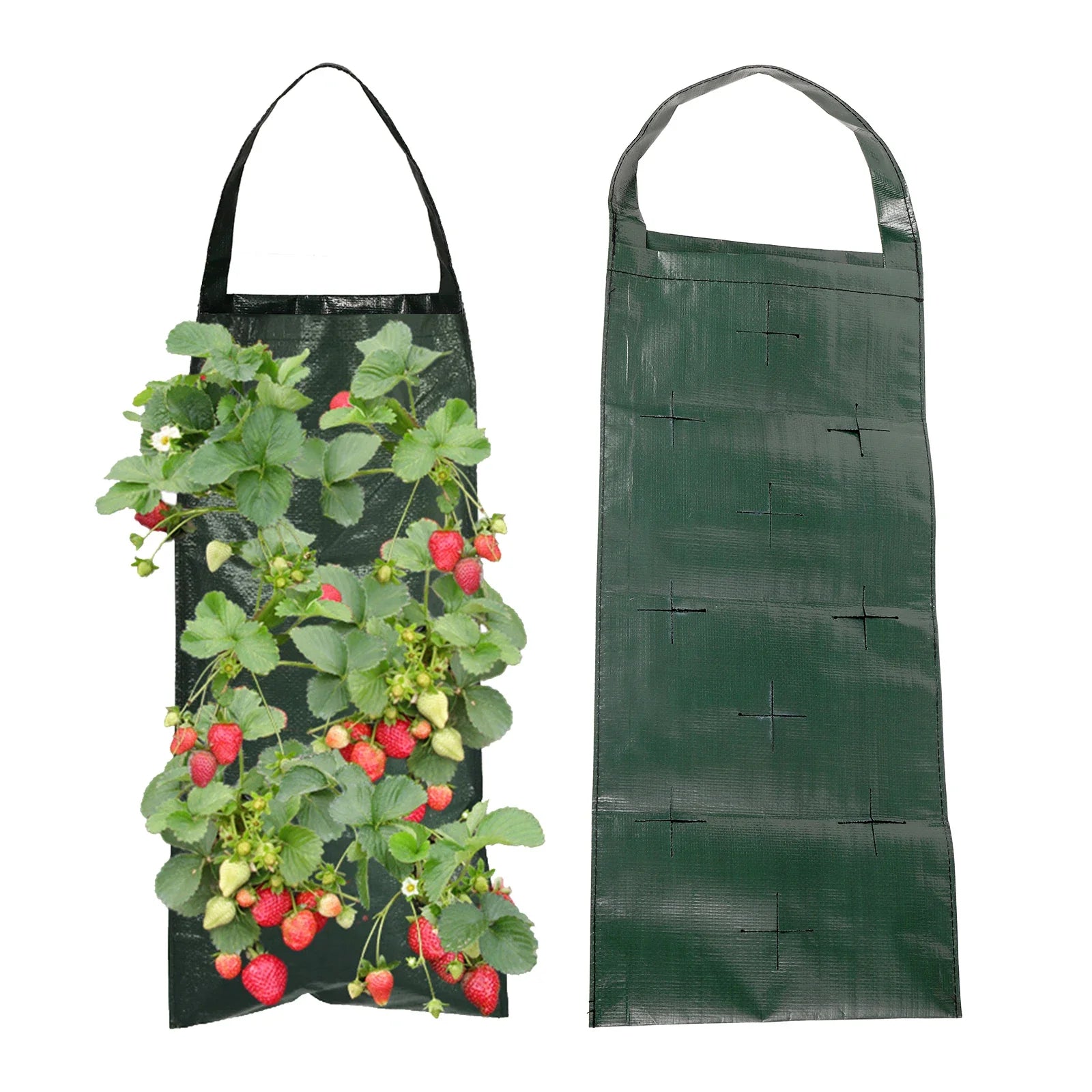 GreenWall Vertikale Pflanztasche | Kompakt & Wiederverwendbar | Für Innen & Außen