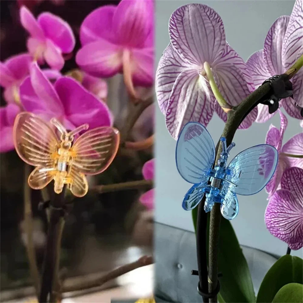 Bloomora | Pflanzenclips | Bunt & Wiederverwendbar | Für Orchideen & Rankpflanzen