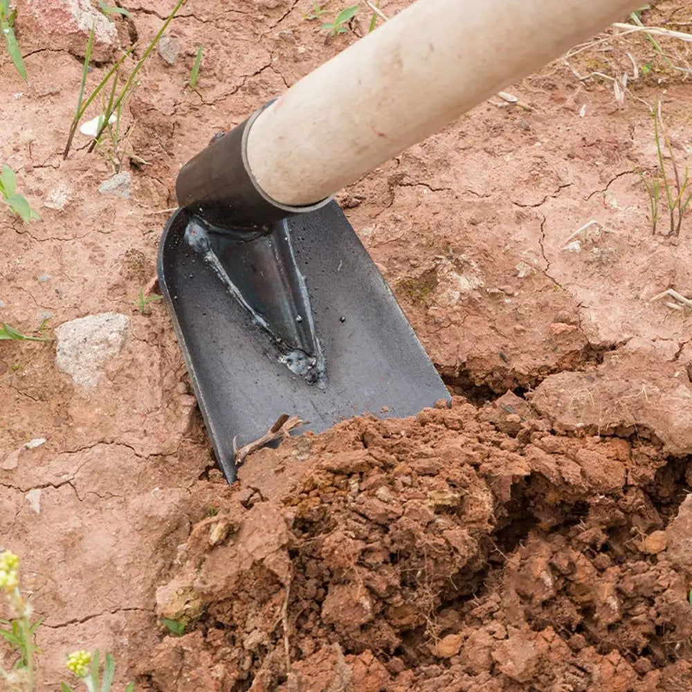 Terracura Gartenhacke | Kompakt & Robust | Aus Manganstahl | Für Unkraut & Erdarbeiten