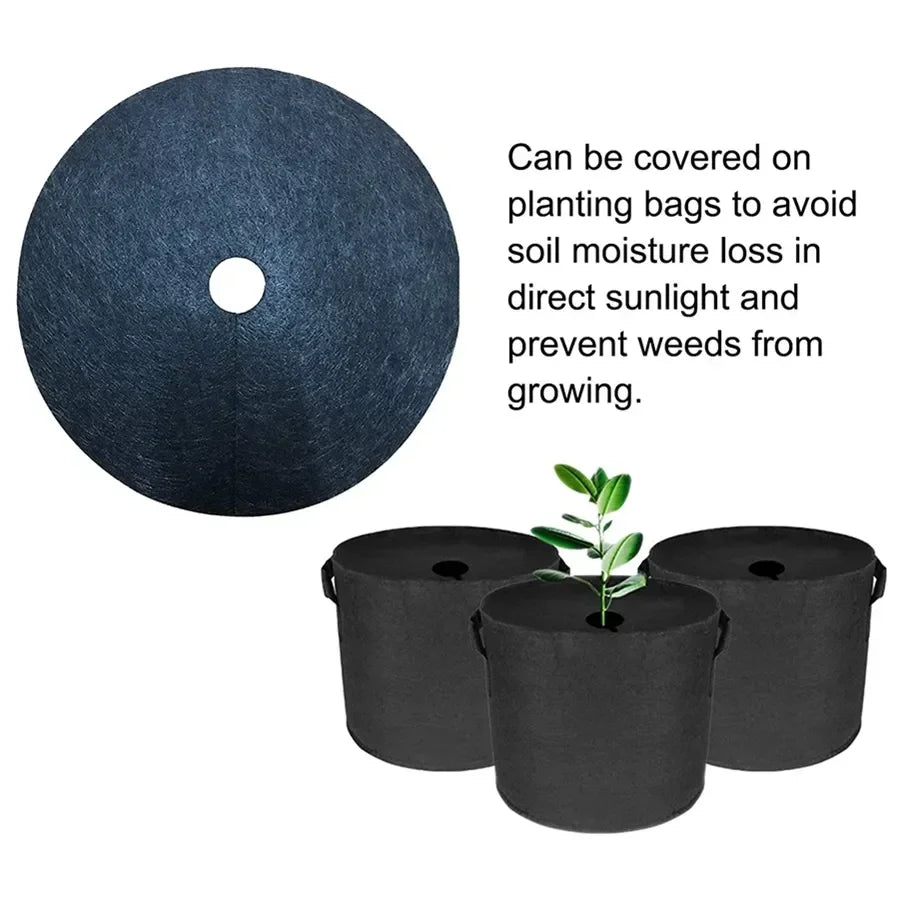 RootGuard | Mulchring aus Vlies | Unkraut- und Austrocknungsschutz | Nachhalig & Wiederverwendbar