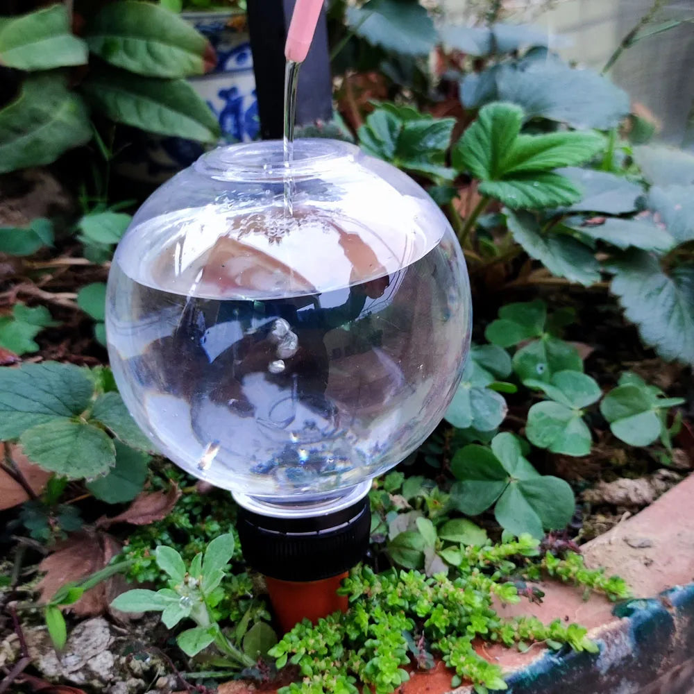 AquaBloom PlantCone | Automatische Pflanzenbewässerung | Für Töpfe & Balkon | Transparent & Praktisch
