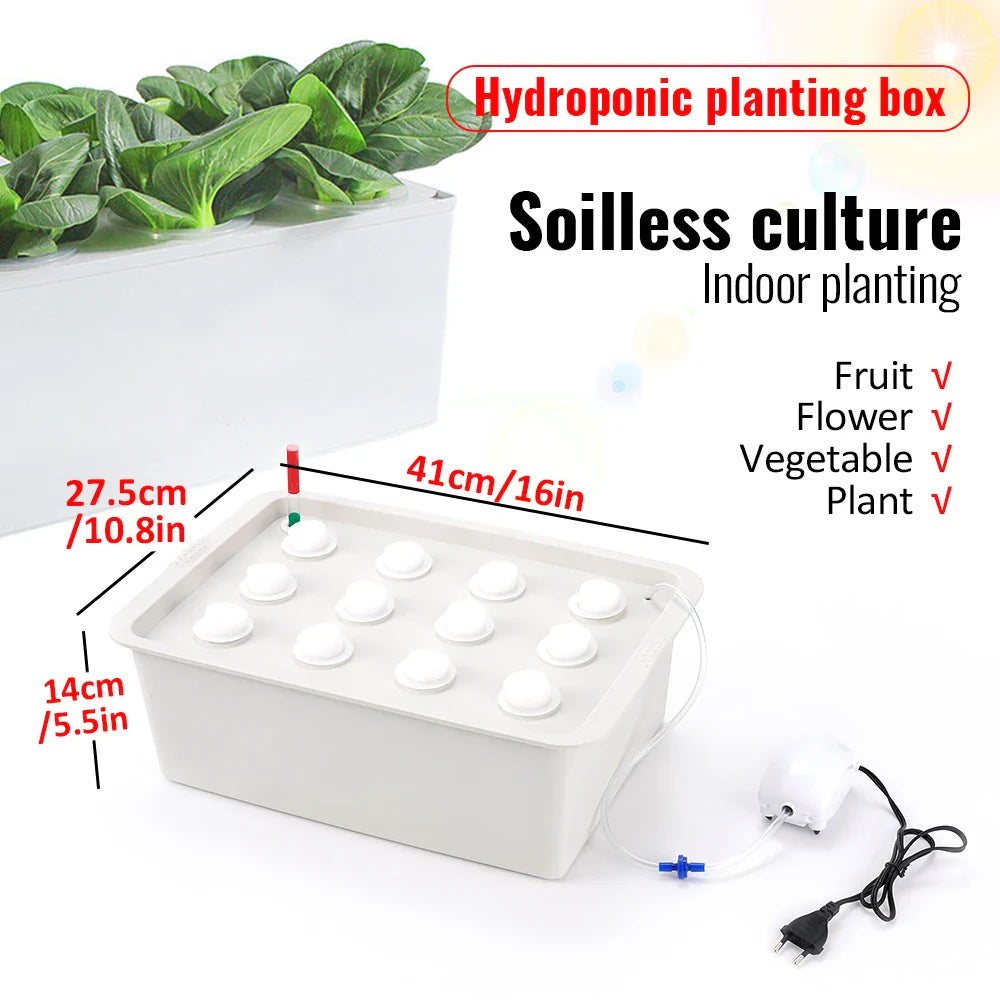 HydroGreen 12 | Hydroponisches Pflanzsystem | Effizient & Kompakt | Robuster Kunststoff