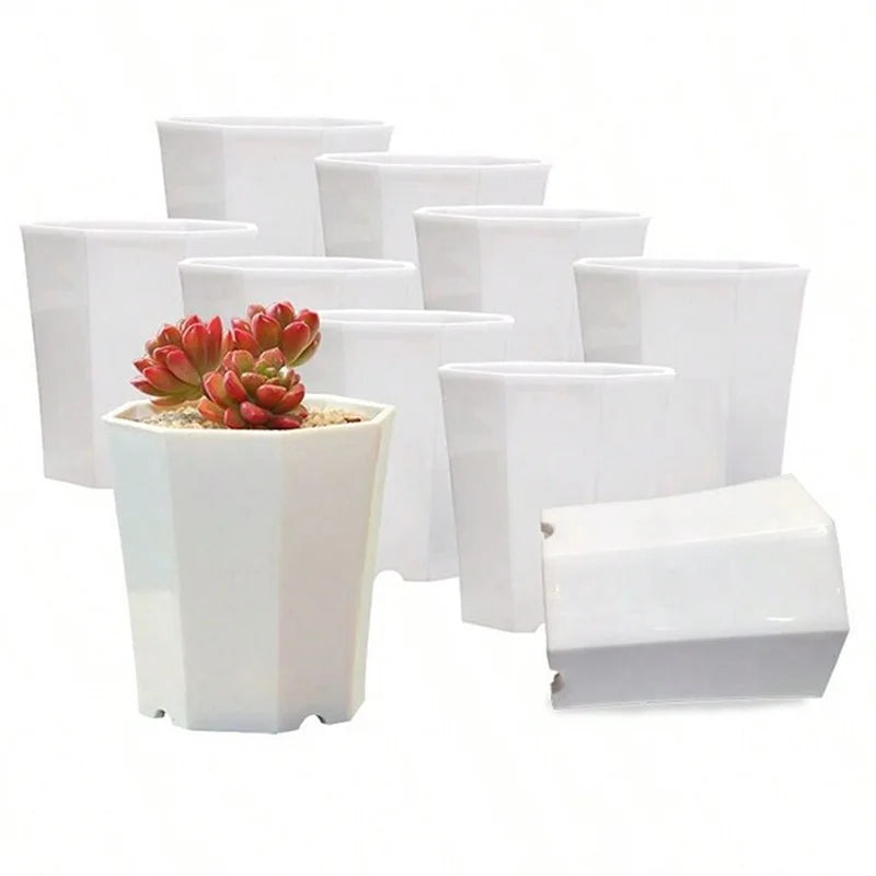 GeoPlant Octa Blumentopf-Set | 10er Set Achteckig | Schwarz-Weiß Minimalismus | Für Kakteen & Sukkulenten | 8 cm