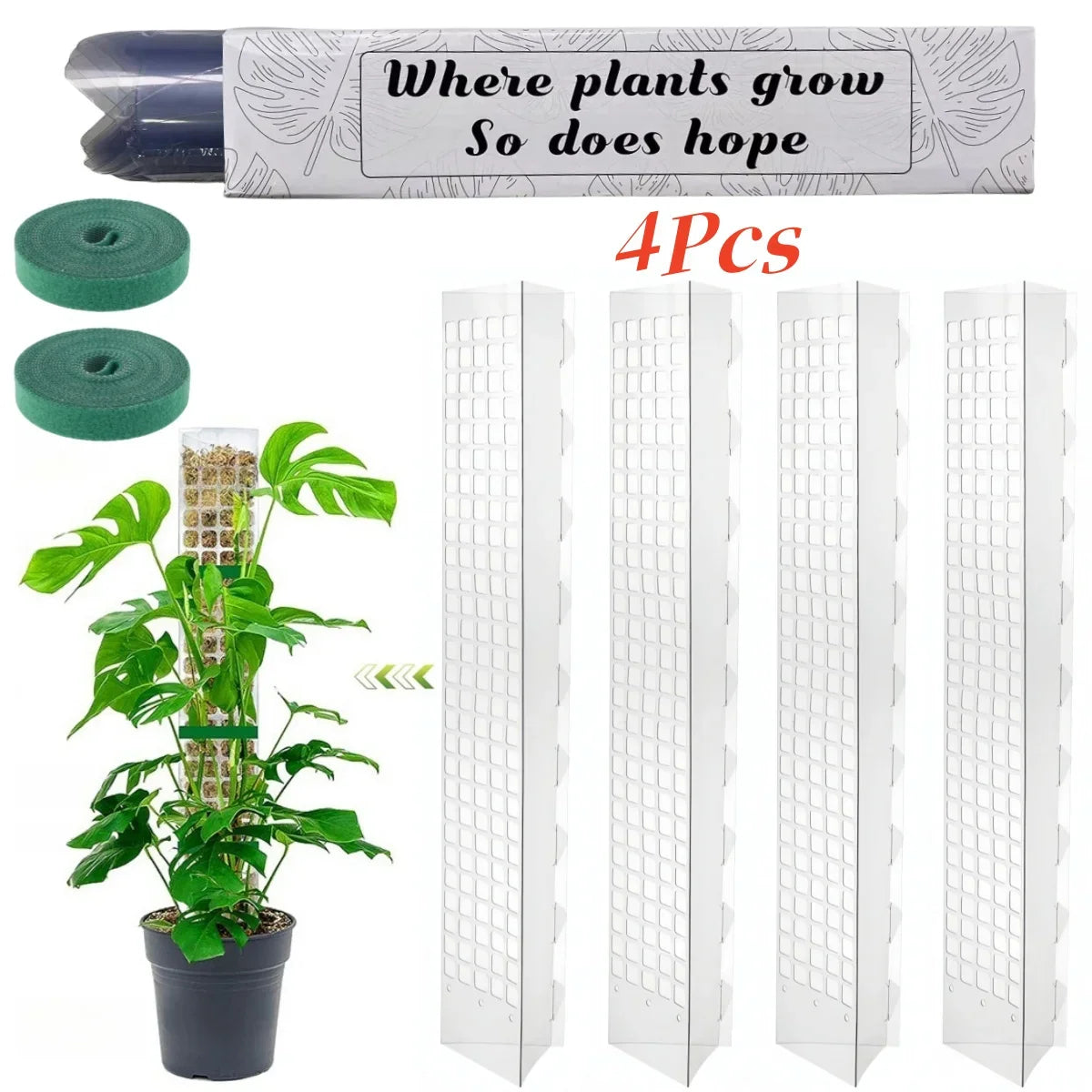 GrowMaster ClimbaLeaf Moosstab-Set | Transparent & Flexibel | Für Kletterpflanzen | Fördert Vertikales Wachstum