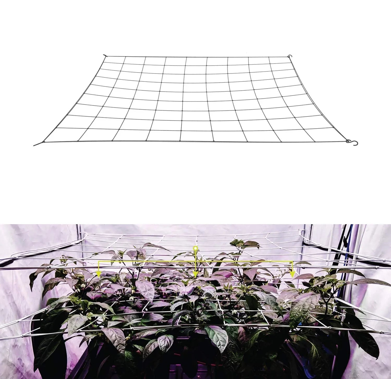 GrowFlex Pro | Elastisches Ranknetz | 10×10 cm Maschen | Für Pflanzen & Hydrokultur