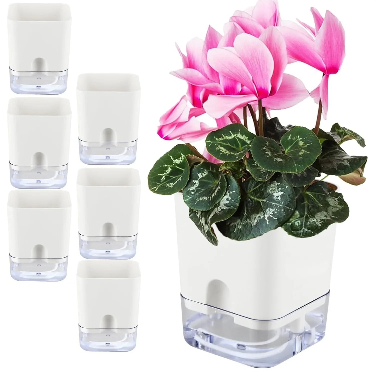 HydroLino Blumentopf | Selbstbewässerung | Kompakt & Transparent | Für Innenräume