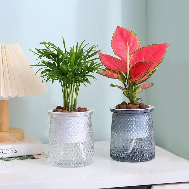 EcoPlant MiniSelfWater | Selbstbewässernder Blumentopf | Für Sukkulenten, Bonsai & Tischdeko | Modern & Praktisch