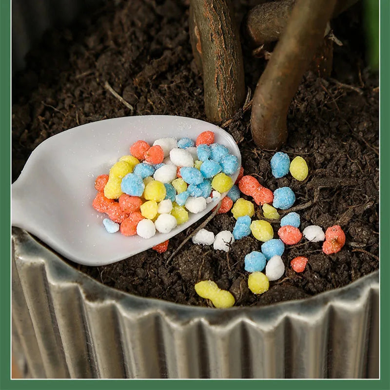 PlantBoost Long-Term Fertilizer | Optimal NPK Formula | For Healthy Plant Growth & Vibrant Blooms