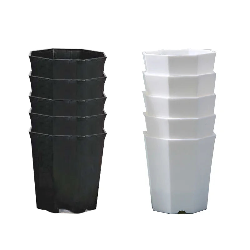 GeoPlant Octa Blumentopf-Set | 10er Set Achteckig | Schwarz-Weiß Minimalismus | Für Kakteen & Sukkulenten | 8 cm
