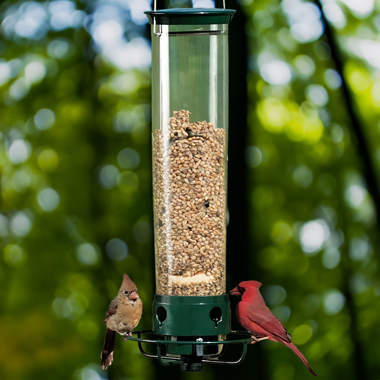 Virdello SpinFeeder | Anti-Eichhörnchen Vogelfutterspender | 2,27 kg Kapazität | Wetterfest & Rotationsmechanik