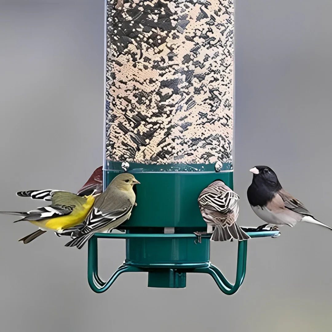 Virdello SpinFeeder | Anti-Eichhörnchen Vogelfutterspender | 2,27 kg Kapazität | Wetterfest & Rotationsmechanik