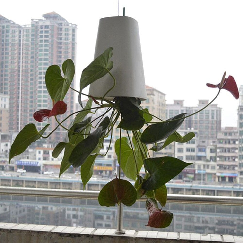 GreenHaven | Hängeblumentopf | Raumsparend | Vielseitig & Dekorativ