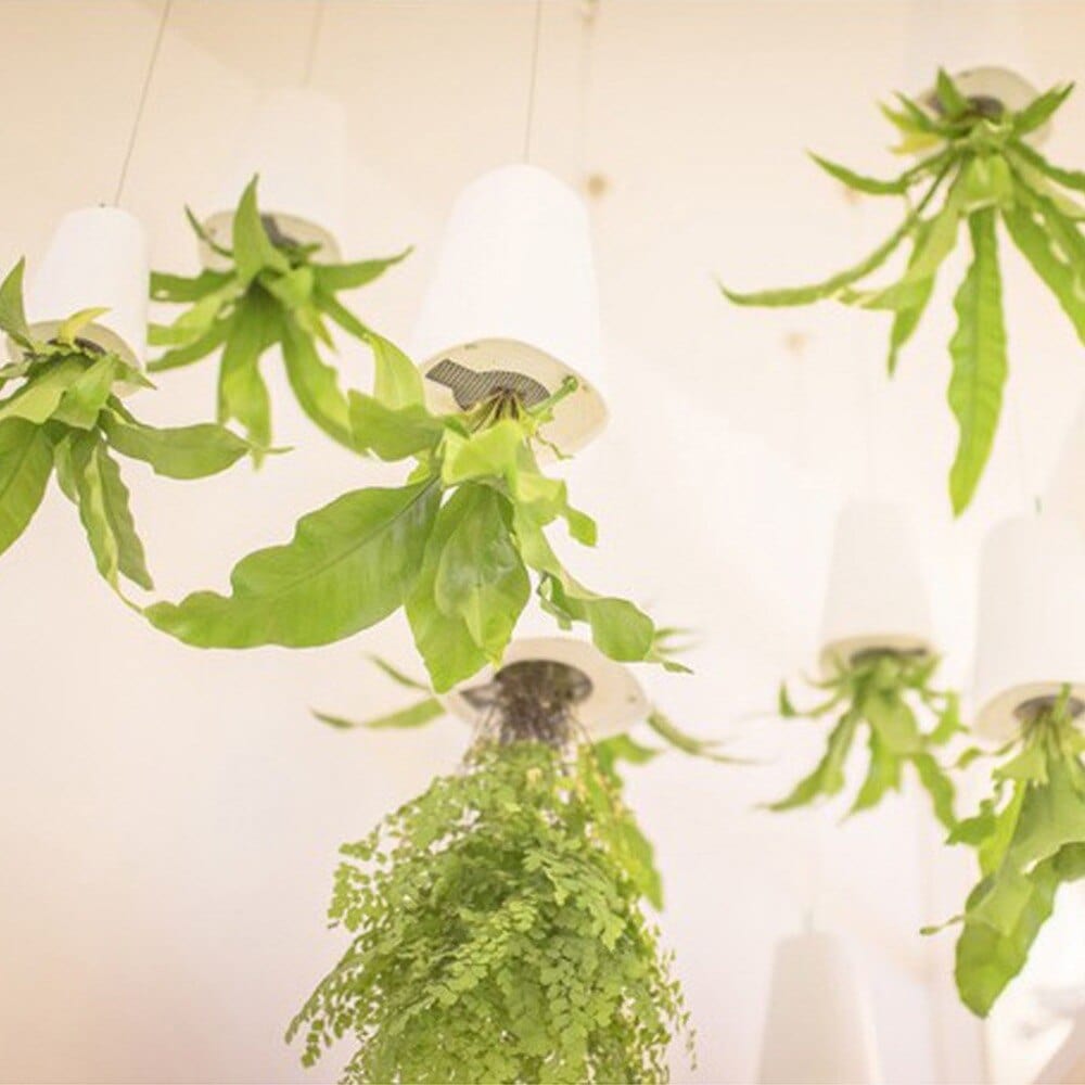 GreenHaven | Hängeblumentopf | Raumsparend | Vielseitig & Dekorativ