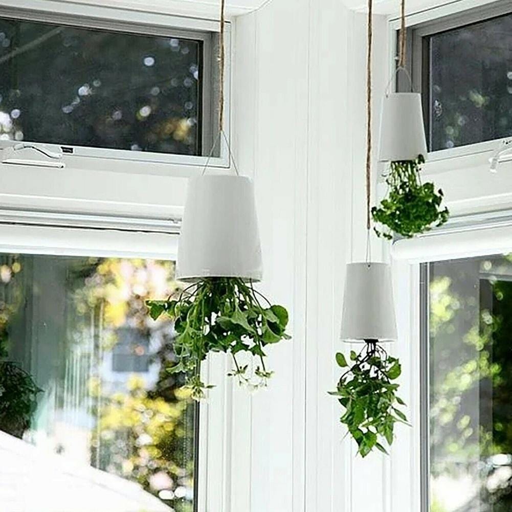 GreenHaven | Hängeblumentopf | Raumsparend | Vielseitig & Dekorativ