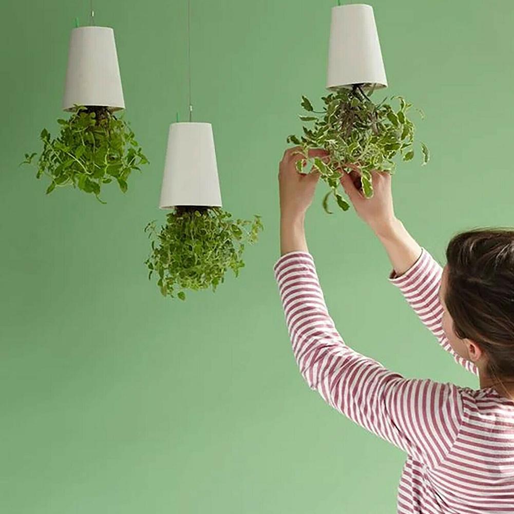 GreenHaven | Hängeblumentopf | Raumsparend | Vielseitig & Dekorativ