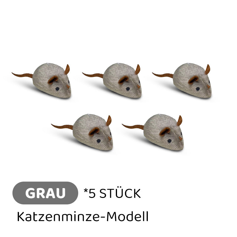 2+1 GRATIS | PawChase – Jagen, spielen, juchzen – der Spaß für deine Katze!