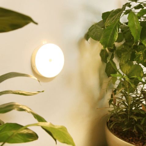 1+1 GRATIS | LumoSense™ – Das smarte Nachtlicht mit Bewegungserkennung