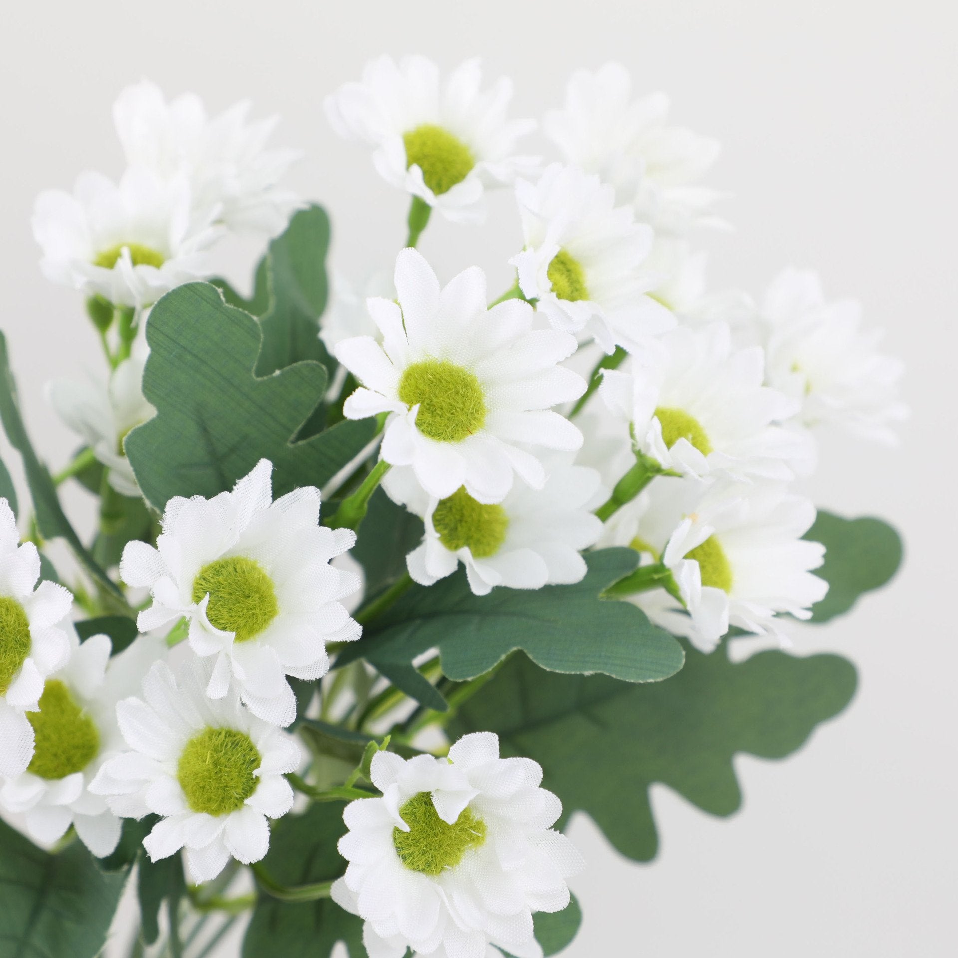 2+1 GRATIS | BloomoraSunset – Herbstliche Farbenpracht, die niemals verblüht