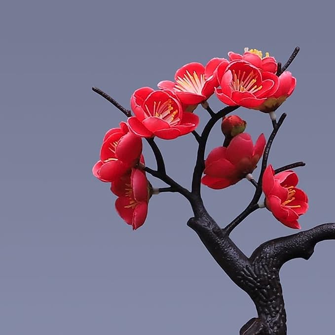 ZenBonsai – Bringe Harmonie, Stil und Natur in dein Zuhause
