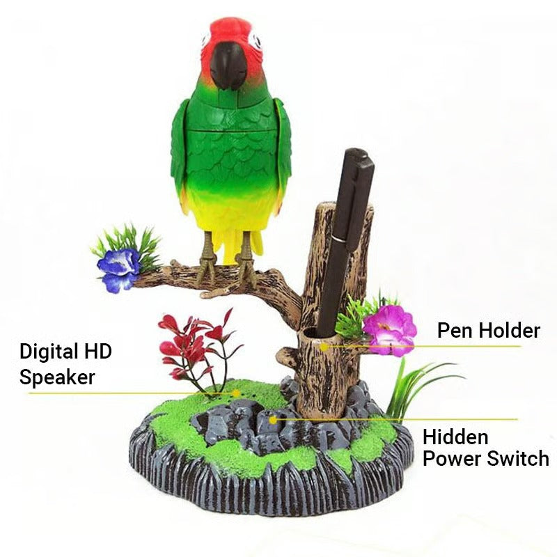 SongBird – Entspannung & Naturklang für dein Zuhause!