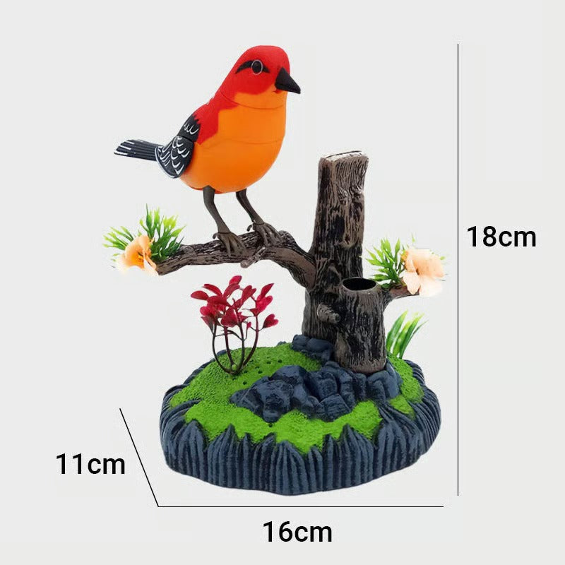 SongBird – Entspannung & Naturklang für dein Zuhause!